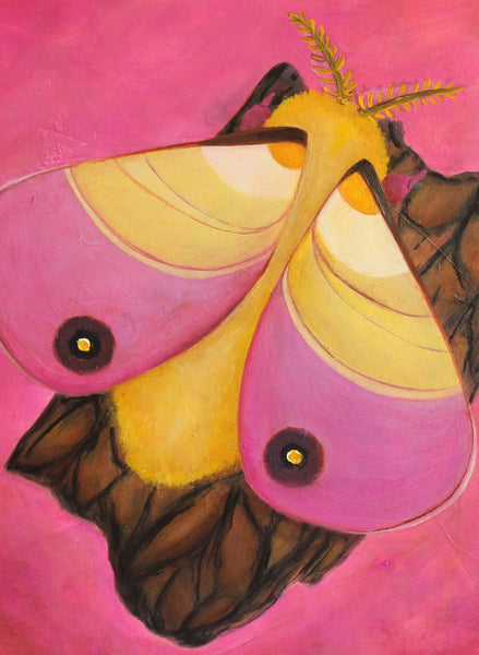 sweet little moth of rosy delight