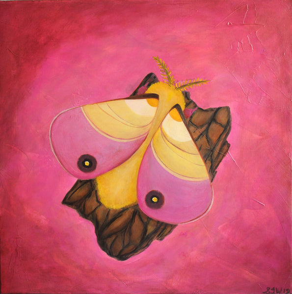 sweet little moth of rosy delight