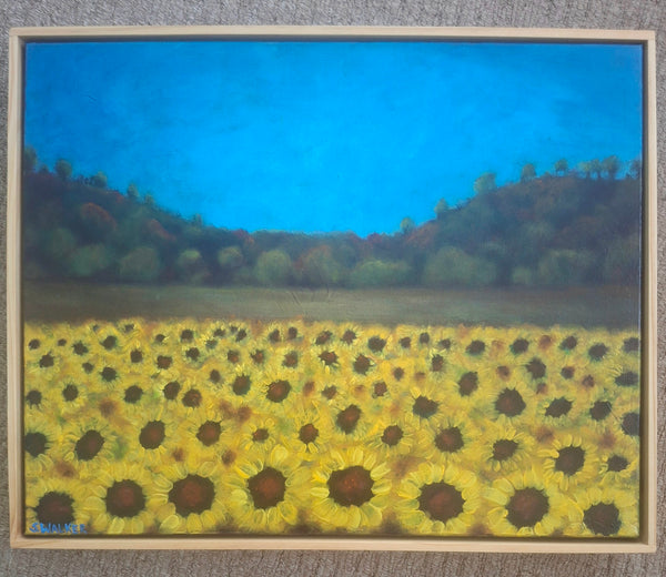 Fields of Sunshine