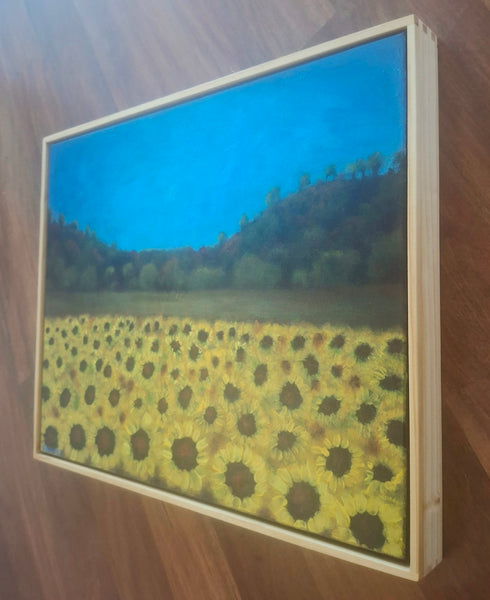 Fields of Sunshine